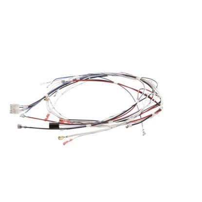 Picture of Wiring Harn  Toggle Dv 1L/2U for Bunn Part# 41390.0003