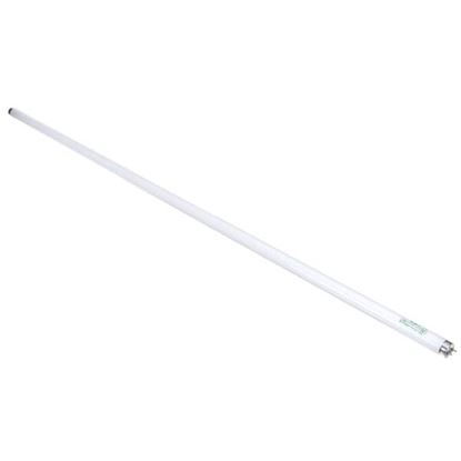 Picture of Lamp, Phillips 32W  for Beverage Air Part# BEV503-230B-02