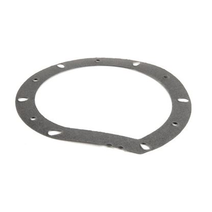 Picture of Gasket, Pump, 2-Notch , 0.015" Thick for Champion Part# 111942