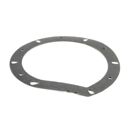 Picture of Gasket, Pump, 2-Notch , 0.015" Thick for Champion Part# 111942