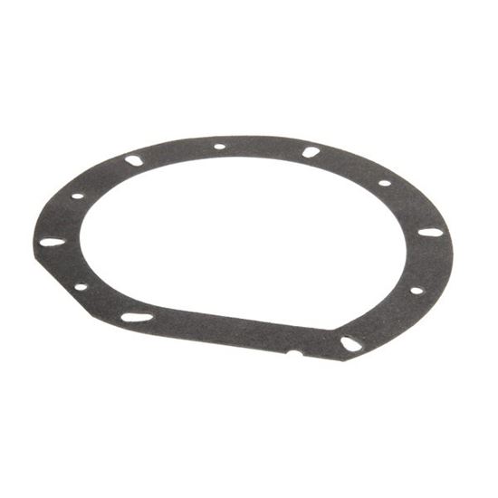 Picture of Gasket, Pump, 1-Notch , 0.0085" Thick for Champion Part# 111941