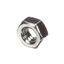 Picture of Nut, Plain, 1/4"-20, S/S  for Champion Part# CHA100003