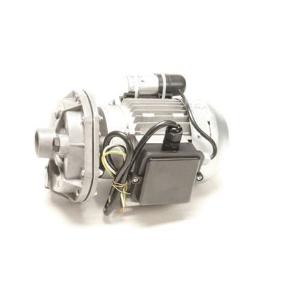 Picture of Pump/Motor Assy, 1Hp , 220V 50/60Hz 1/3Ph for Champion Part# 114525