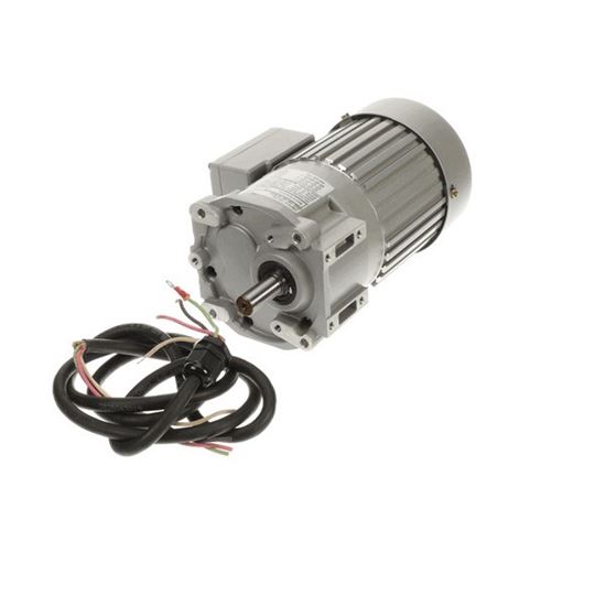 Picture of Motor, Drive, 1/6Hp , Multi-Volt, 3Ph for Champion Part# CHA116533