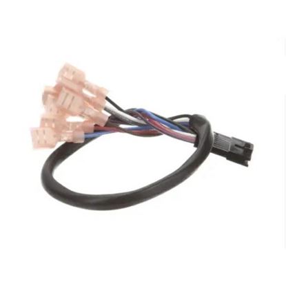 Picture of Harness, Membrane Switch Wire for Jackson Part# 05999-004-10-49