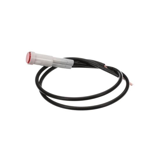 Picture of Red Indicator Light 120V  for Giles Part# 21673
