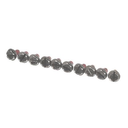 Picture of Screw, Hex Bolt #10-32  for Roundup - AJ Antunes Part# 310P178
