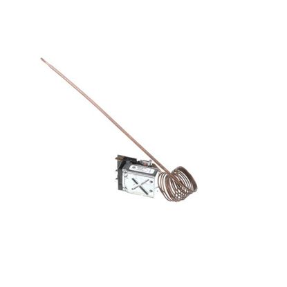 Picture of Thermostat  for American Range Part# R10107