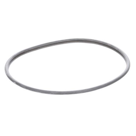 Picture of Lid Seal Assembly R401A  for Robot Coupe Part# 39740