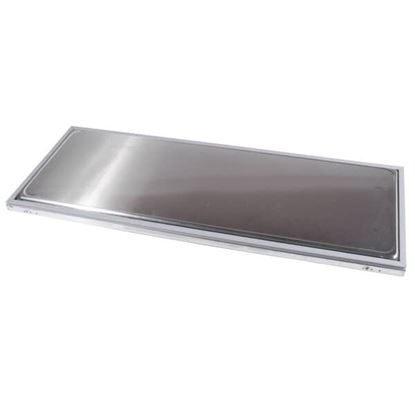 Picture of Assembly Fhs Door  W/Ft Pedal Cfa for Traulsen Part# SK-200-60361-00