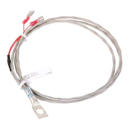Picture of Rtd Sensor  for Accutemp Part# AT0E-3626-1