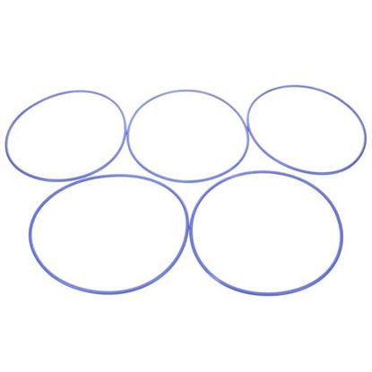 Picture of Gasket, Lid, Fryer, Pk/5  for Winston Products Part# PS1891-5