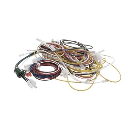 Picture of Harness, Complete  for Winston Products Part# PS2977