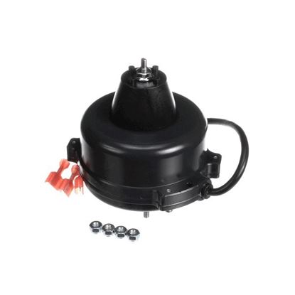 Picture of Motor  for Kolpak Part# 550007854