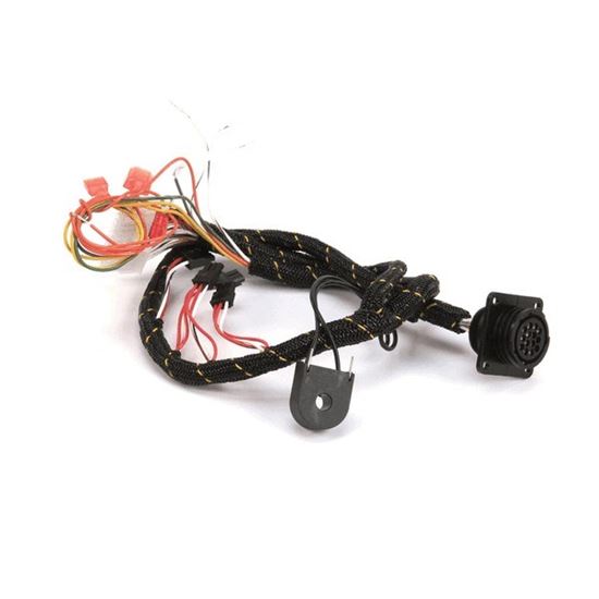 Picture of Renau Internal  Wiring Harness for AllPoints Part# 8024898
