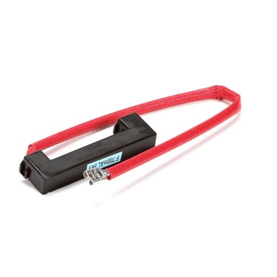 Picture of Fuse-Hv  for Amana Part# 53002035