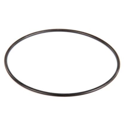 Picture of O Ring That Seals Motor  for Power Soak Systems Part# 27476