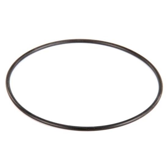 Picture of O Ring That Seals Motor  for Power Soak Systems Part# 27476