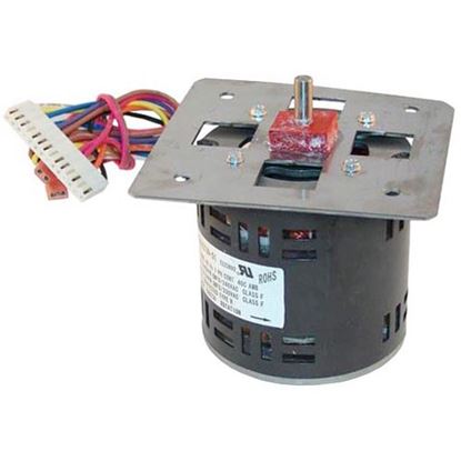 Picture of Motor 115/240V, 1/15Hp for Groen Part# 96739