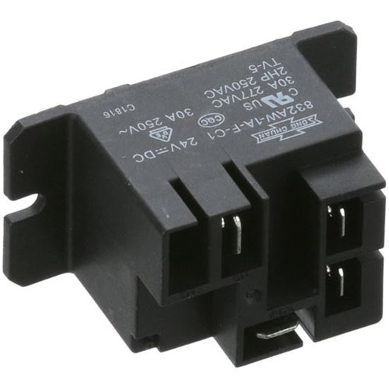 Picture of Relay 1P 30A 24V for Hatco Part# HTR02.01.050.00