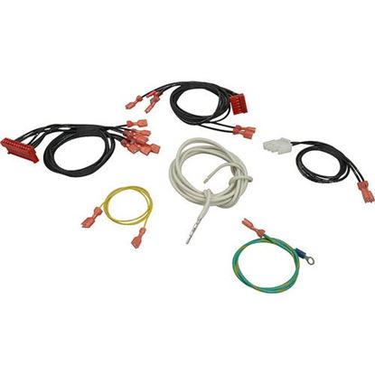 Picture of Harness I.O. Control Ofg  for Henny Penny Part# HEN60389-001