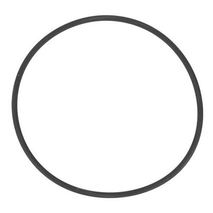 Picture of Pump Gasket  for Henny Penny Part# HEN162498