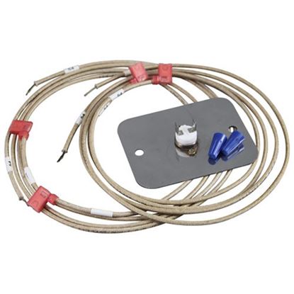 Picture of Limit Thermostat  for Hobart Part# 00-346357-00001