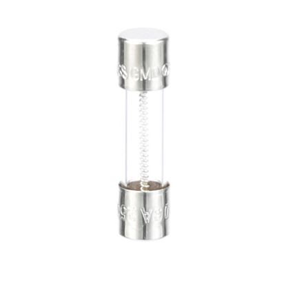 Picture of Fuse  for Hoshizaki Part# 4A0893-06