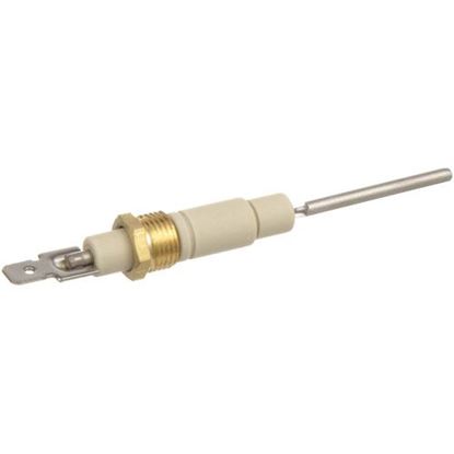Picture of Flame Sensor  for Lang Part# LG41100-07