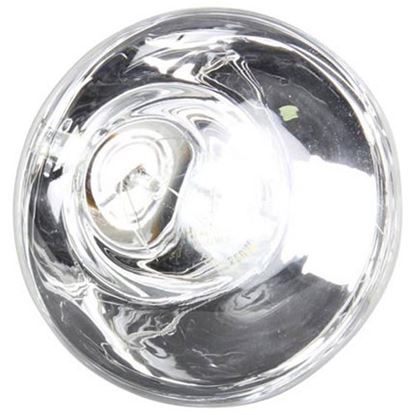 Picture of Philips 250W Lamp #250 Br 40/1 for APW Part# 2E-75410