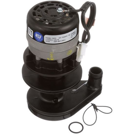 Picture of Water Pump - 115V  for Manitowoc Part# -2008929