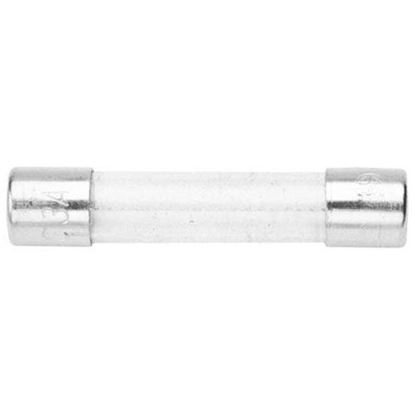 Picture of Glass Fuse  for Market Forge Part# 1487908