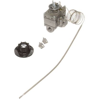 Picture of Thermostat Kit  for Montague Part# MONBR52-1A