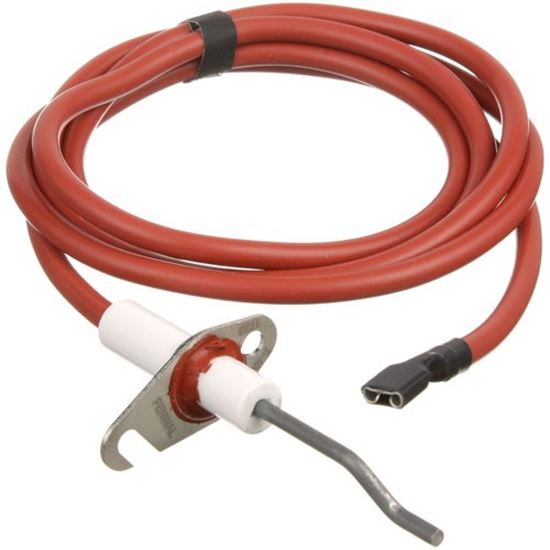 Picture of Flame Sensor  for Nieco Part# NC25957