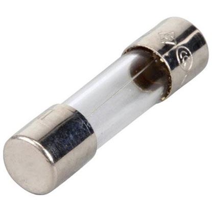 Picture of 2 Amp Fuse  for Nieco Part# NC4621-02
