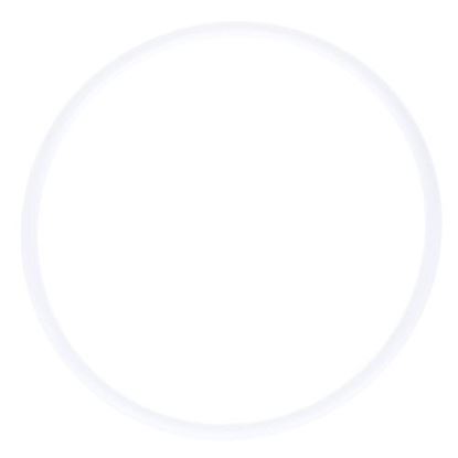 Picture of O-Ring  for Pitco Part# PT60068303