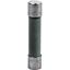 Picture of Fuse  for Pitco Part# 60132705