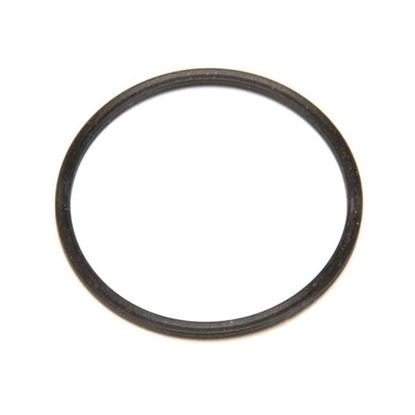 Picture of Pump Quad Ring  Sleeve for Power Soak Systems Part# 27475