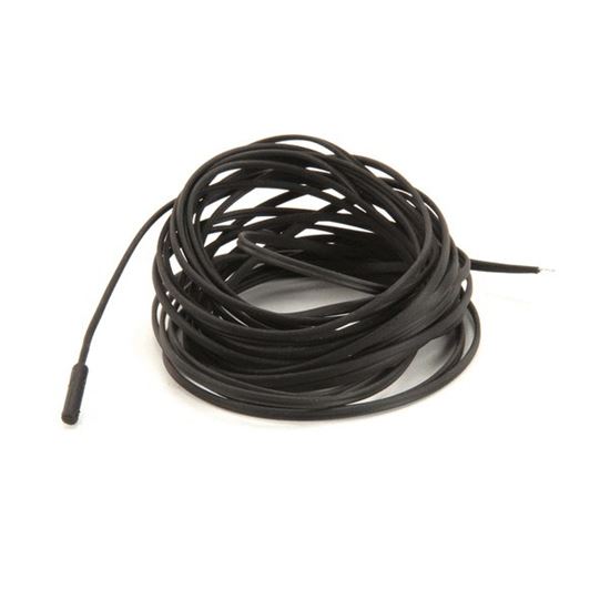 Picture of Probe, 6 Meter W/O Sleeve for Randell Part# RDRF CNT1104