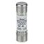 Picture of Fuse  for Rational Part# 40.01.588P