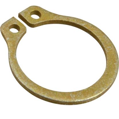 Picture of Retaining Ring Vct-2010 (10 Pack) for Roundup - AJ Antunes Part# 300P123