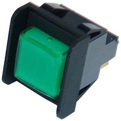 Picture of Momentary Switch  for Roundup - AJ Antunes Part# -4010166