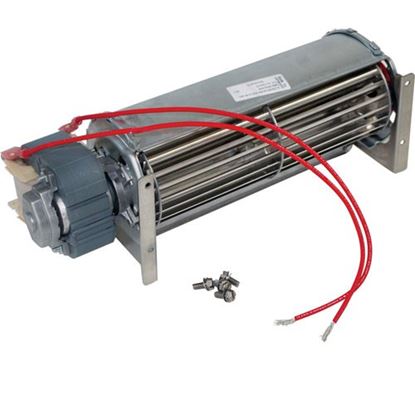 Picture of Blower Kit - 240V  for Roundup - AJ Antunes Part# 4000194