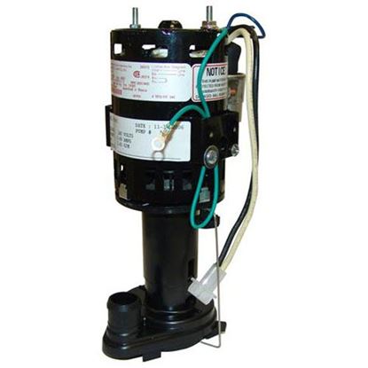 Picture of Pump/Motor Assembly - 208/230V for Scotsman Part# SC12-2582-21