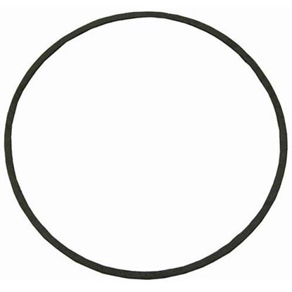 Picture of Gasket For Gould Pump  for Stero Part# SOA57-3287