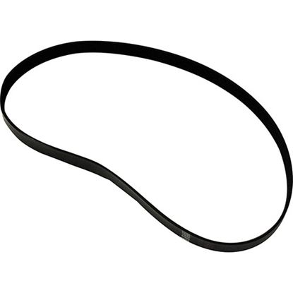 Picture of Heavy Duty Belt *Oem* 450J10/.160Thck M#358/35 for Taylor Freezer Part# TAF044056