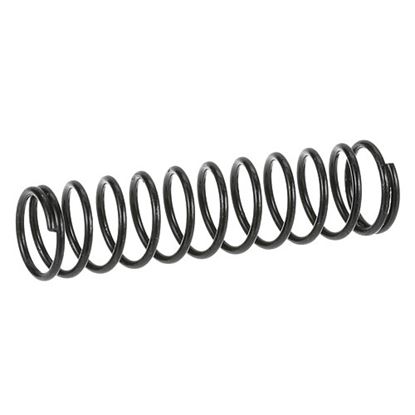 Picture of Return Spring  for Taylor Thermometer Part# -25452