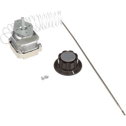 Picture of Thermostat  for Bakers Pride Part# AS-M1098X