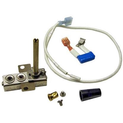 Picture of Thermostat  for Wells Part# WS61740