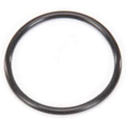 Picture of O Ring Gasket  for Blickman Part# 6870